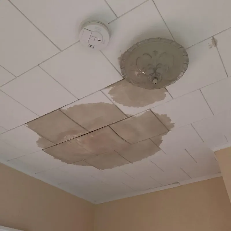 Ceiling Water Damage Repair in Cotuit, MA